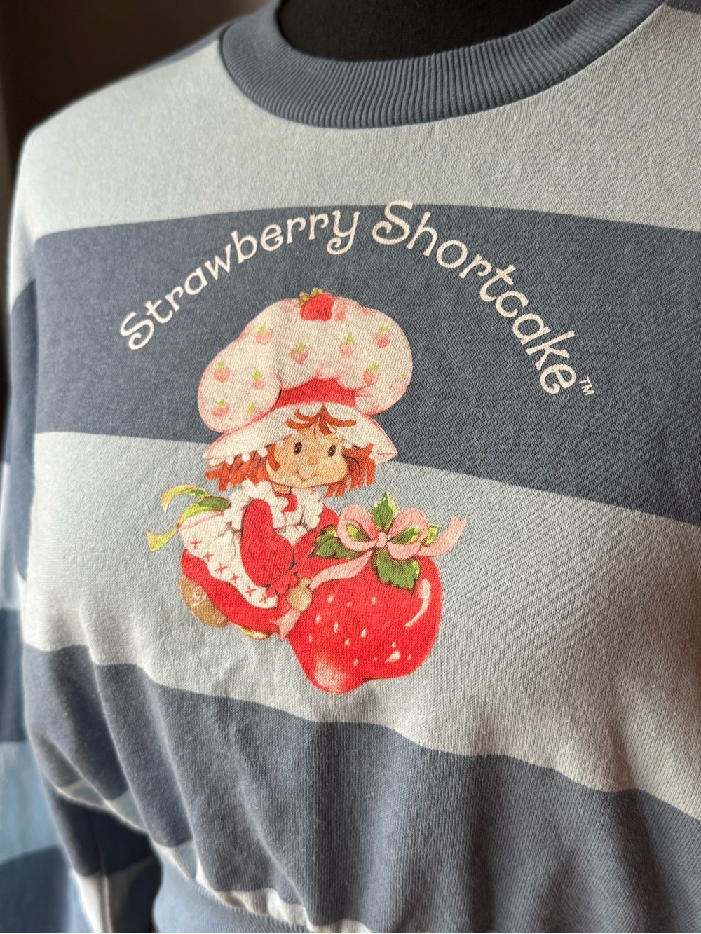 Strawberry Shortcake Blue Stripe Cropped Sweater xxs - Picture 2 of 7